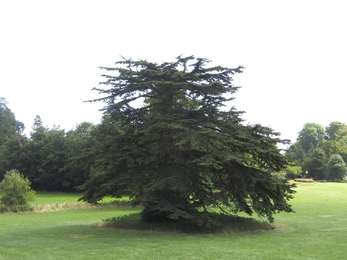 וורמינסטר Home Farm Boreham מראה חיצוני תמונה